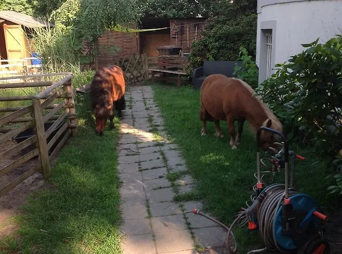 Berlietz Апартаменты Берлин