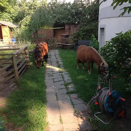 Berlietz Daire Berlin